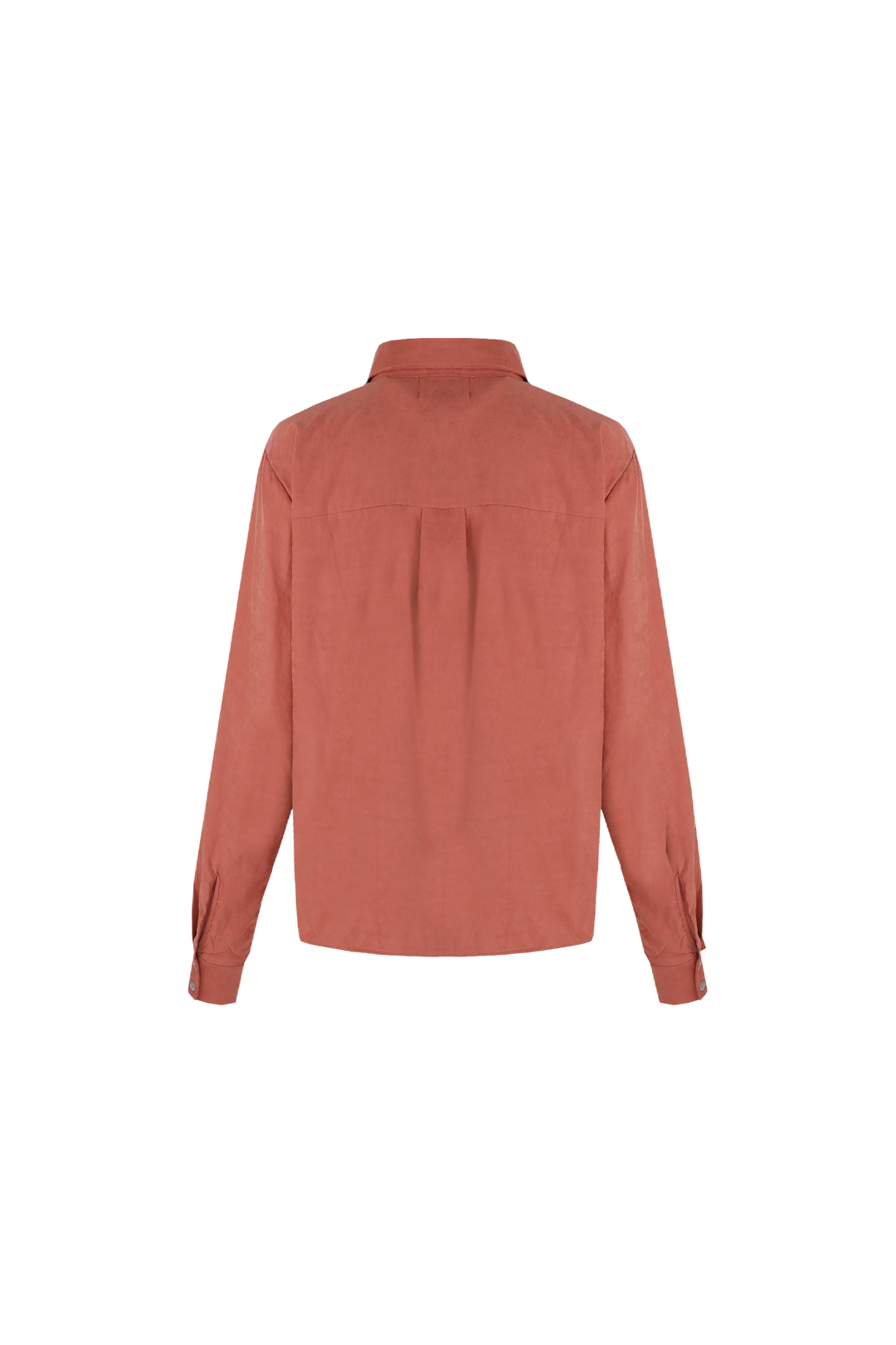 Laurent Bluse | Kork